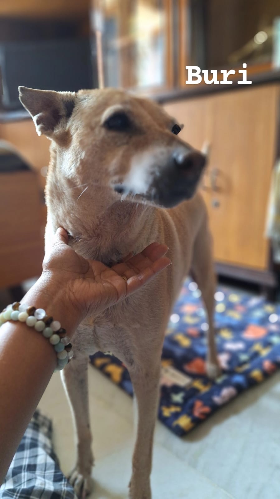 Buri