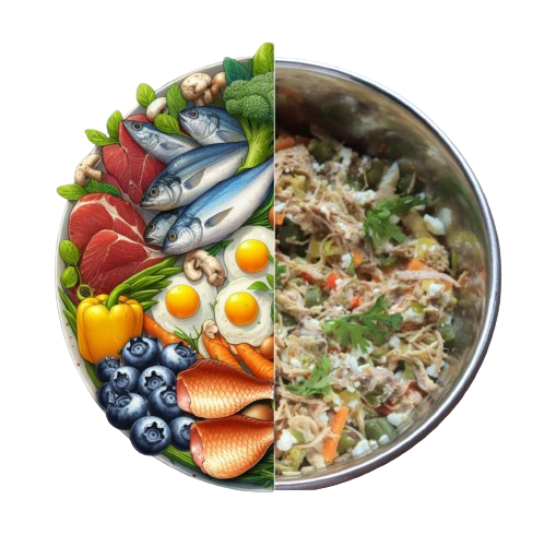 Benefits of Fresh Food