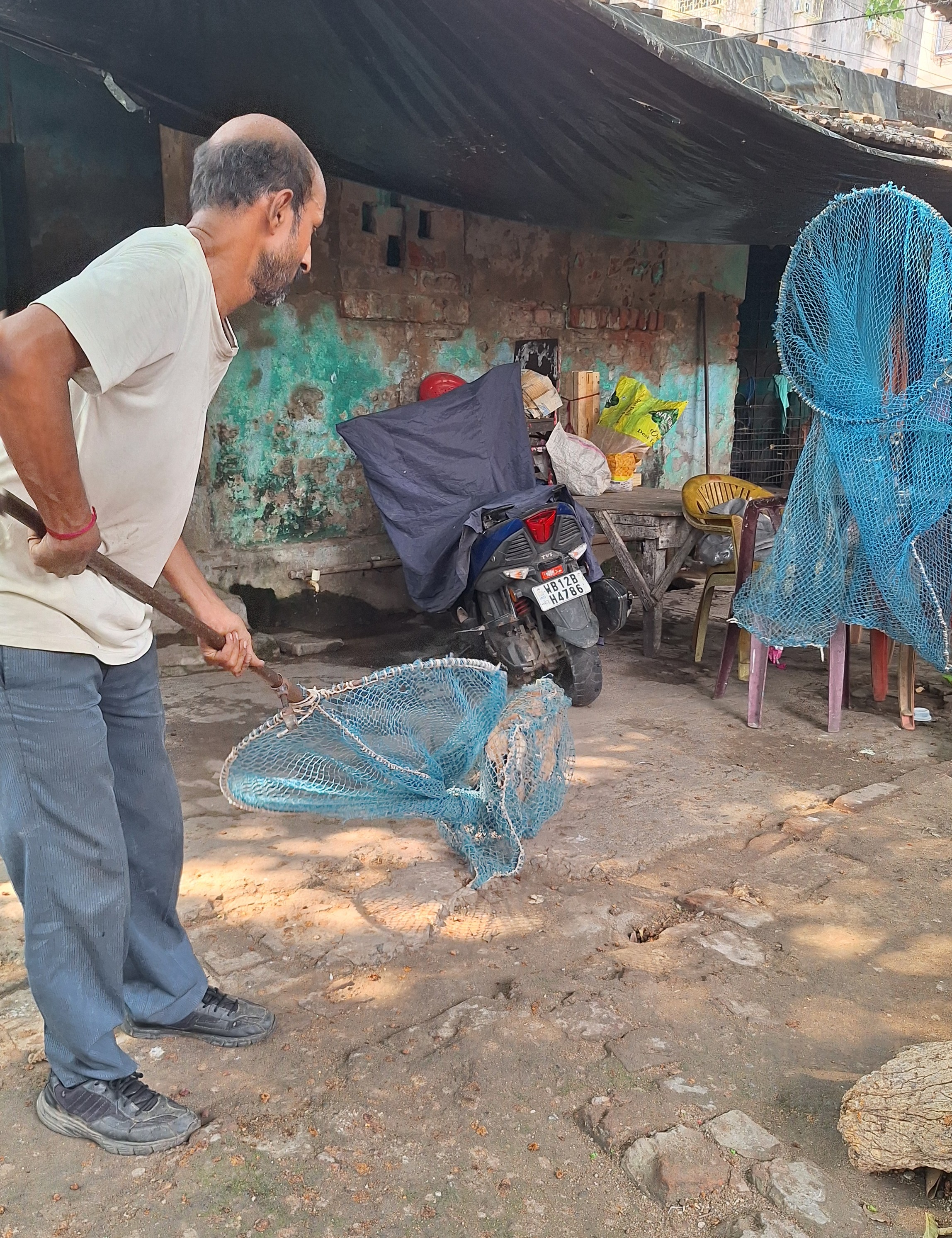 Animal birth control and sterilization program