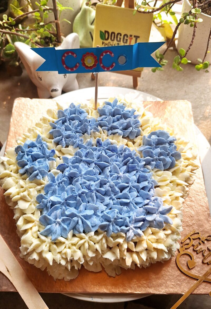 Paw shape cake : 850 gms - Image 2