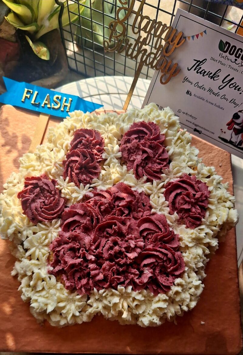 Paw shape cake : 850 gms
