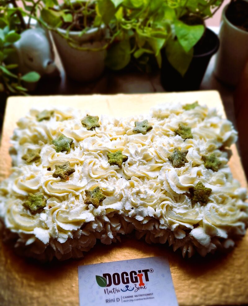 Bone shape cake: 1 Kg
